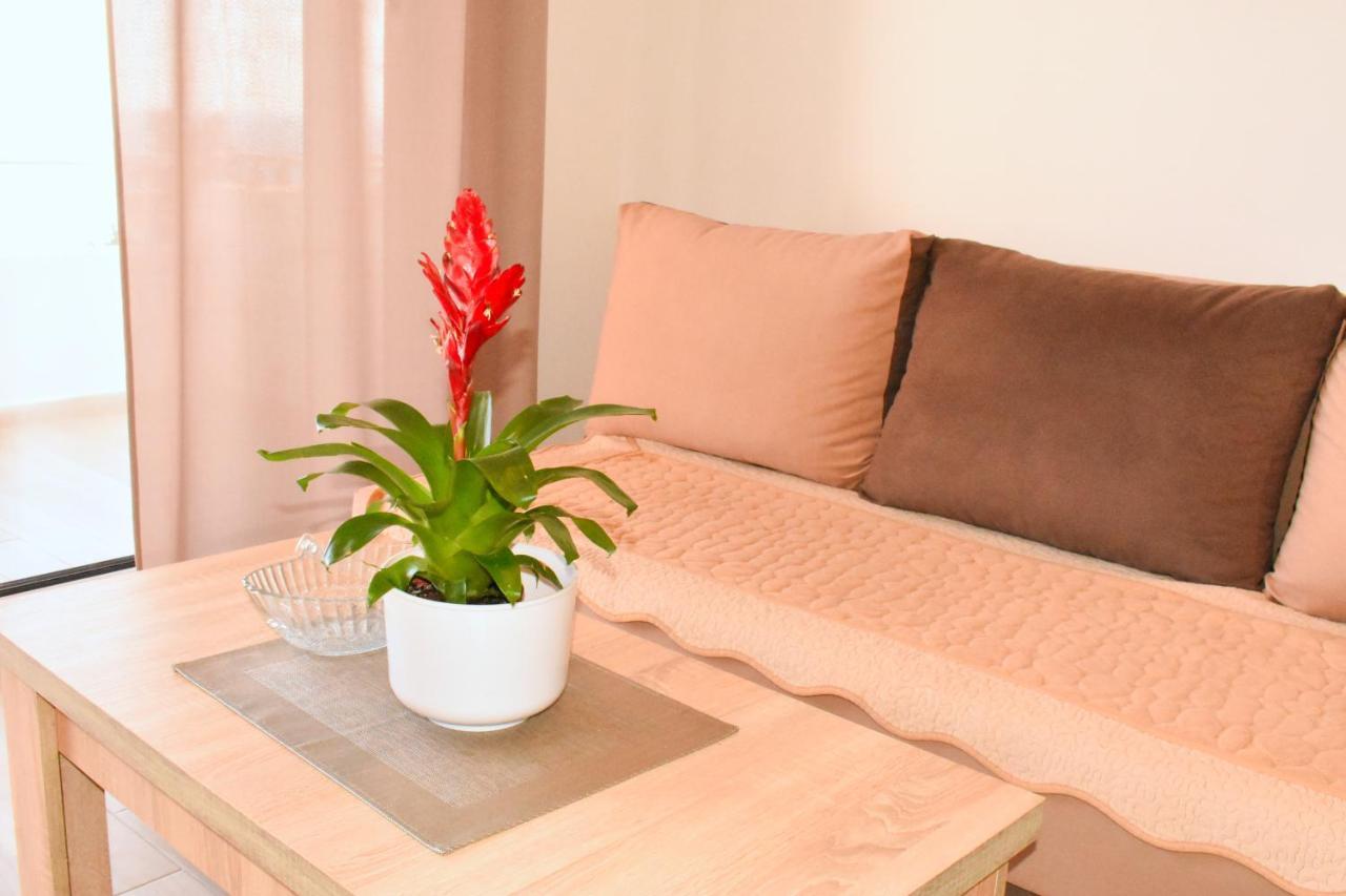 Studio Apartments Jupo Ulcinj Exteriér fotografie